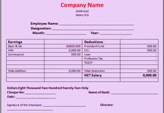 efficient salary slip template example with company name and blank slary slip