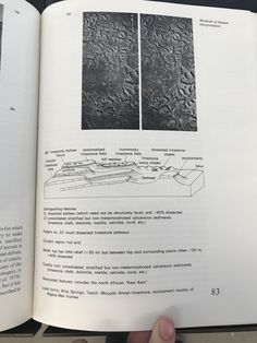 first year of university essay politics