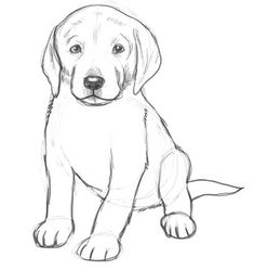 101 best drawings of