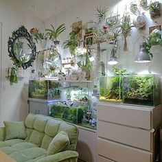 25 best aquarium images on pinterest in 2018 aquarium ideas fish