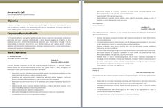 Ceo Job Description Sample Gorgeous Project Manager Resume Resume Pinterest Project Manager Resume . Ceo Job Description Sample Alluring Project Manager Resume Resume Pinterest Project Manager Resume .
