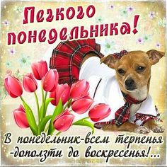 понедельник с добрым утром картинки онлайн понедельник с добрым утром картинки