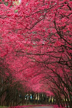 654 cherry tree road 108 best photography images on beautiful landscapes landscaping and 654 cherry tree road 108 best photography images on beautiful landscapes landscaping and
