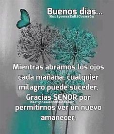 25 Ideas De Amar En 2021 Frases Espirituales Frases De Sabiduria Frases Bonitas