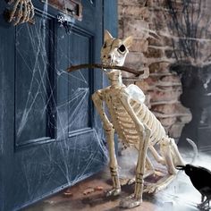 spike the halloween skeleton dog grandin road grandin road httpwww