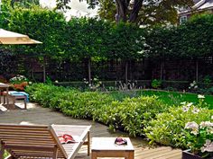 Creating privacy in a small backyard