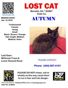 note lost possibly stolen lost cat savannah ga july 09 2018 how to get a doctors note for a cat