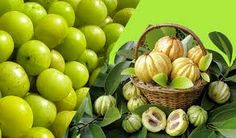 garcinia 500mg para que serve garcinia 500mg para que serve