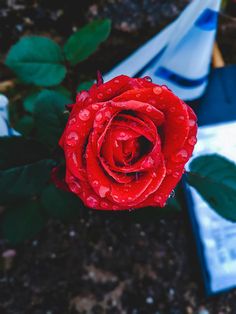 تصویر زیبا برای پس زمینه کامپیوتر تصویر زیبا برای پس زمینه کامپیوتر