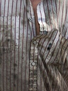 34 Best Remove Mold On Clothes Images Get Rid 34 Best Remove Mold On Clothes Images