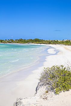 Cayo Coco Beach A Paradise Island In Cuba Watch Http Cayo Coco Beach A Paradise Island In Cuba Watch Http Destinations For Travelers Blo Br 2017 12
