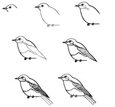 bluebird eastern drawing lesson