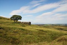Cv writing service west yorkshire