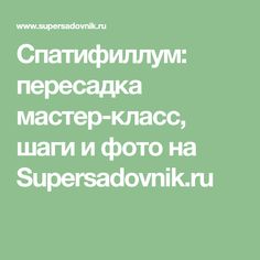 Спатифиллум: пересадка мастер-класс, шаги и фото на Supersadovnik.ru