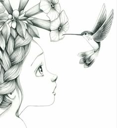 Humming Birds 3 Adult Coloring PagesColoring