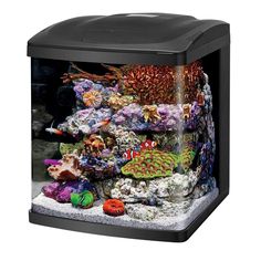 608 best aquariums images