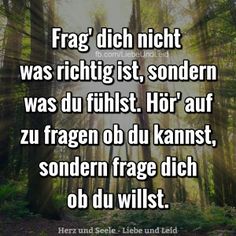 Sehr erwachsene dating-profile lustig