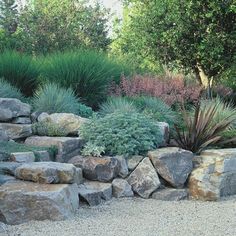 Garden Design Rockery garden rockery ideas for your yard | garden designs | pinterest Garden Design Rockery garden rockery ideas for your yard | garden designs | pinterest