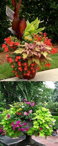 Container Garden Design terrace garden design ideas wooden container garden on white ceramic floor gorgeous courtyard patio furniture bamboo garden in the near wrap around bench 24 Stunning Container Garden Planting Designs Container Garden Design container garden design color proven winners 24 Stunning Container Garden Planting Designs