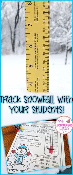food group printables sorting activity worksheets and posters winter science activities and close reading passages