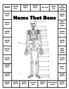 27 best skeletal system activities images teaching science Skeletal System Diagram House skeletal system games