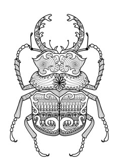 Display Image Coloring Zentangle Beetle By Bimdeedee