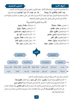 Pin By Mustafa Gawdat on Arabskij Yazyk تعلم اللغة العربية اللغة العربية تعلم اللغة العربية