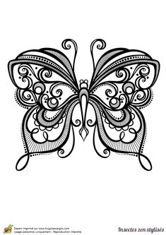 Dessin A Colorier Dun Superbe Papillon