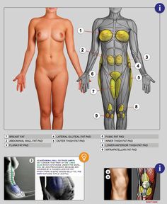 Australia sexiest women porn Big tits america