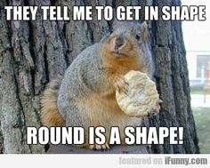 funny squirrels, funny squirrel photos, squirrel memes oh, so 30fe571e2afd03aecb38caf9dd447227 fox squirrel funny squirrel funny squirrels, funny squirrel photos, squirrel memes oh, so,Funny Squirrel Memes