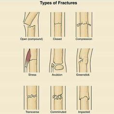32 best basic medical
