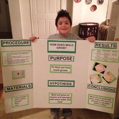 science projects layout