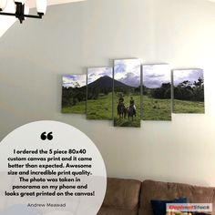 53 best reviews images on pinterest in 2018 elephant elephants