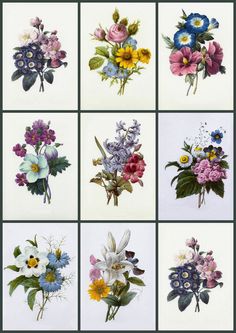artbyjean vintage clip art digital collage sheets each with nine vintage flower sheets