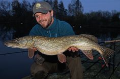 Die 10 besten Bilder zu Angeln | angeln, fische, hechtangeln Die 10 besten Bilder zu Angeln | angeln, fische, hechtangeln