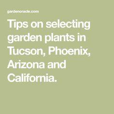 Arizona Interactive Usda Plant Hardiness Zone Map Maps Tips On Selecting Garden Plants In Tucson Phoenix Arizona And California