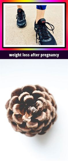 what is the best approach to weight loss quizlet