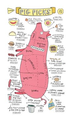 learning pig parts different
