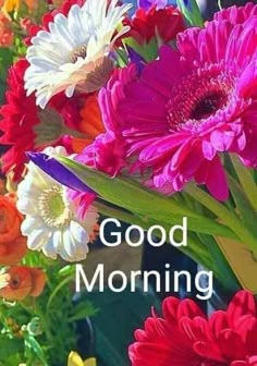 Remove toenail fungus with tea tree oil Good morning flowers image full hd
