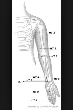 acupressure points chart pressure points reflexology heart meridian chart