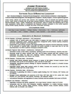 software sales executive resume example