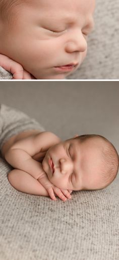 486 Best Greenville SC Newborn Photographer images in 2020