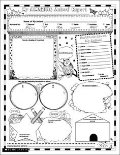 16 Best Poster Sets Images Clroom Ideas Teaching Writing Instant Personal Poster Sets My Amazing Animal Book Report Kids Will Learn And Have