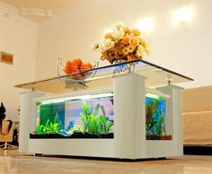 fishtank coffee table