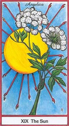 xix tattoo meaning Sun) on 19 (The 454 images ***TRUMPS: best Pinterest xix tattoo meaning Sun) on 19 (The 454 images ***TRUMPS: best Pinterest
