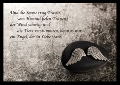 Hund tot spruch - Die ausgezeichnetesten Hund tot spruch verglichen