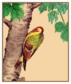 Pair of Woodpecker Birds by John James Audubon Counted Cross Stitch Pattern