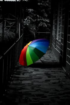 Regenschirm bilder - Die hochwertigsten Regenschirm bilder im Überblick!