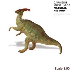 Safari Ltd 411301 Tyrannosaure Rex T-REX 19 cm Série Dinosaures