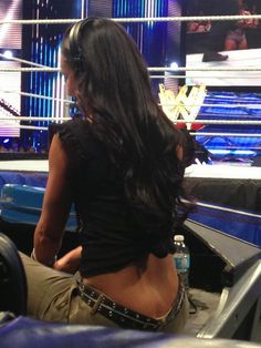 Just Aj lee sexy nipples Excellent idea. Aj lee sexy nipples